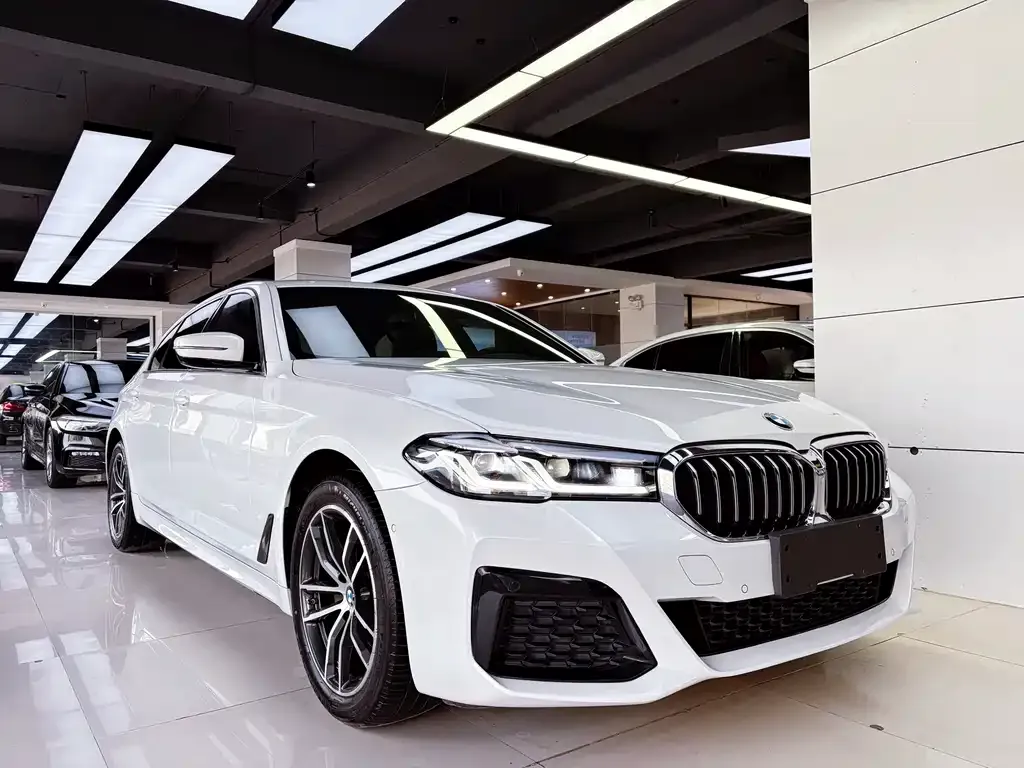 BMW 5 Series 2021 из CN, фото 7