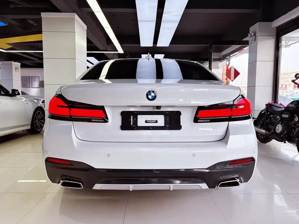 BMW 5 Series 2021 из CN, фото 2