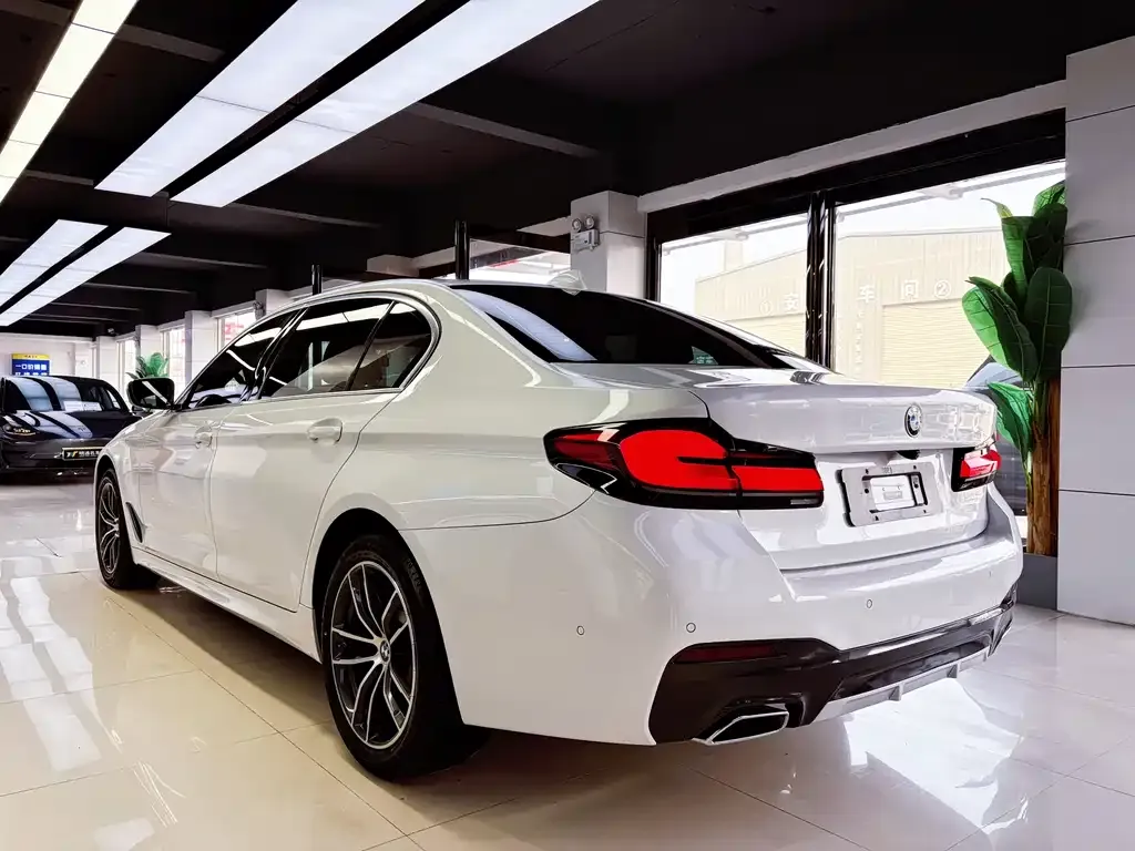 BMW 5 Series 2021 из CN, фото 3