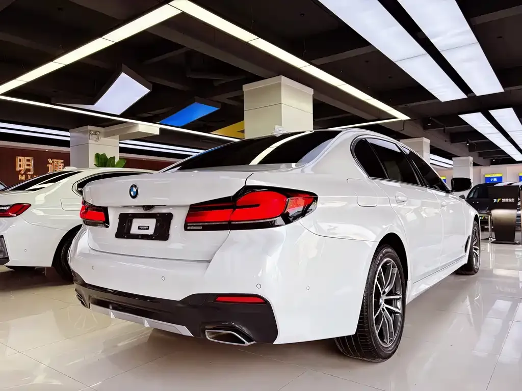 BMW 5 Series 2021 из CN, фото 6