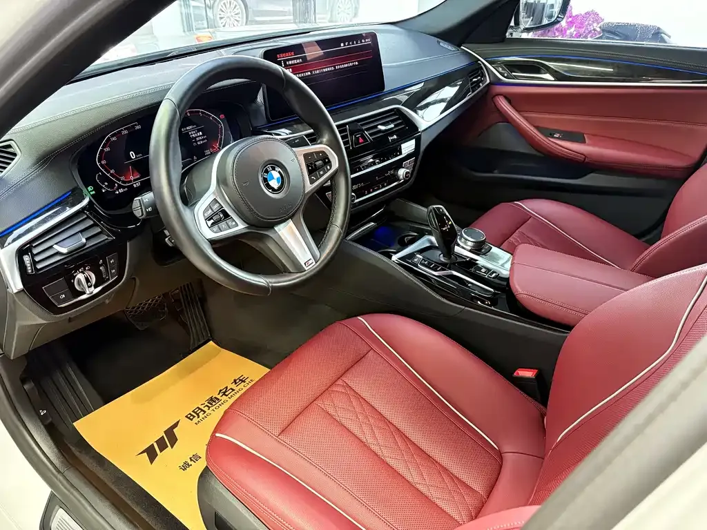 BMW 5 Series 2021 из CN, фото 4