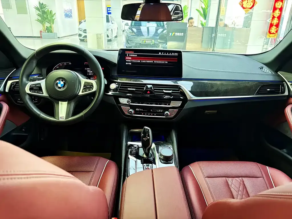 BMW 5 Series 2021 из CN, фото 9