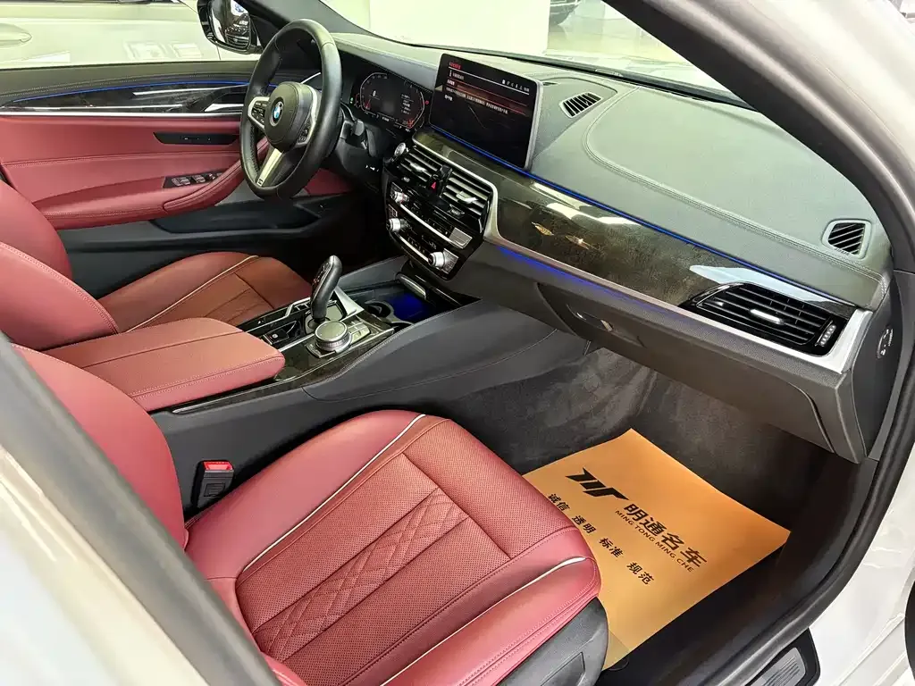 BMW 5 Series 2021 из CN, фото 10