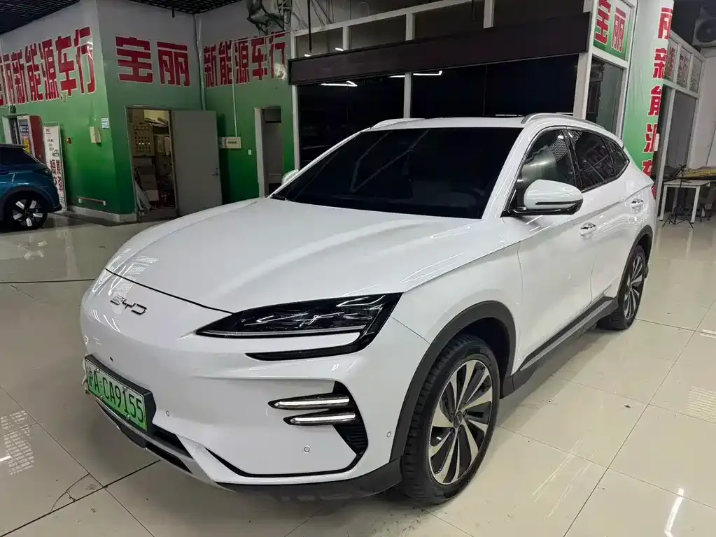 BYD PLUS New Energy — фото 1