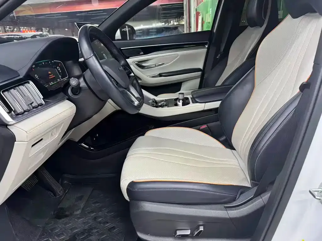 BYD PLUS New Energy — фото 4