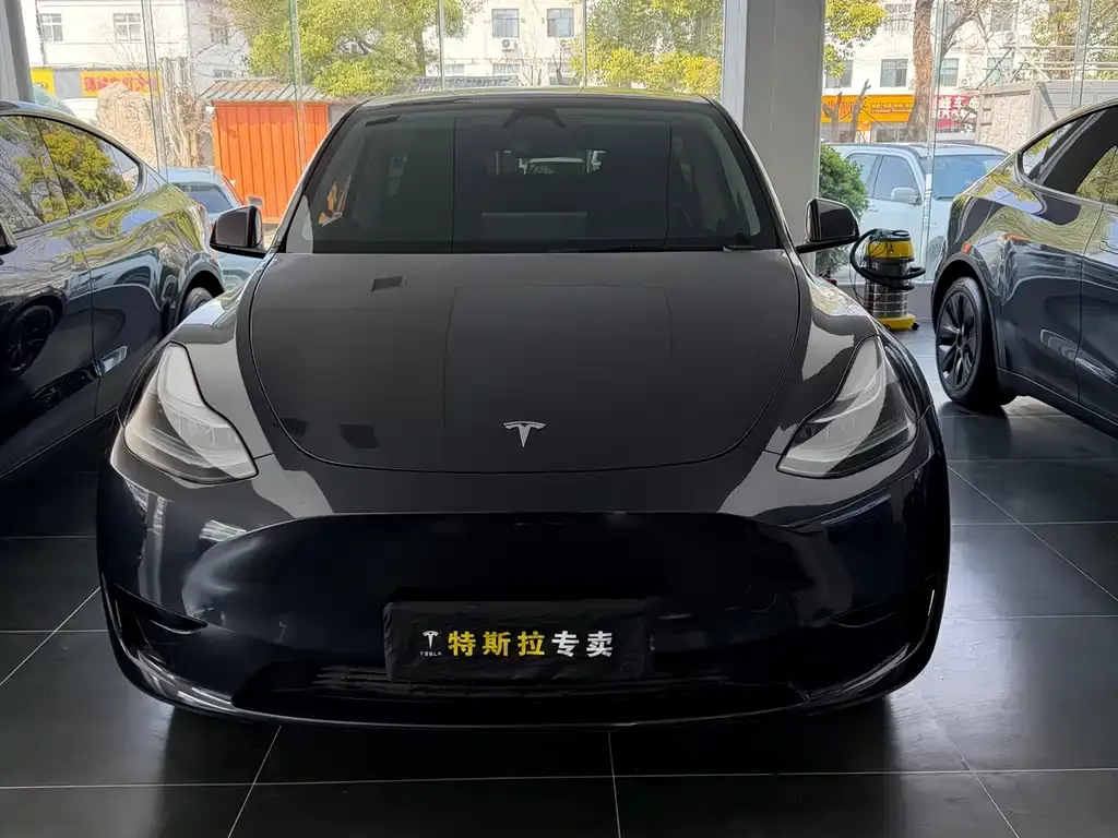Tesla Model Y 2024 из CN, фото 6
