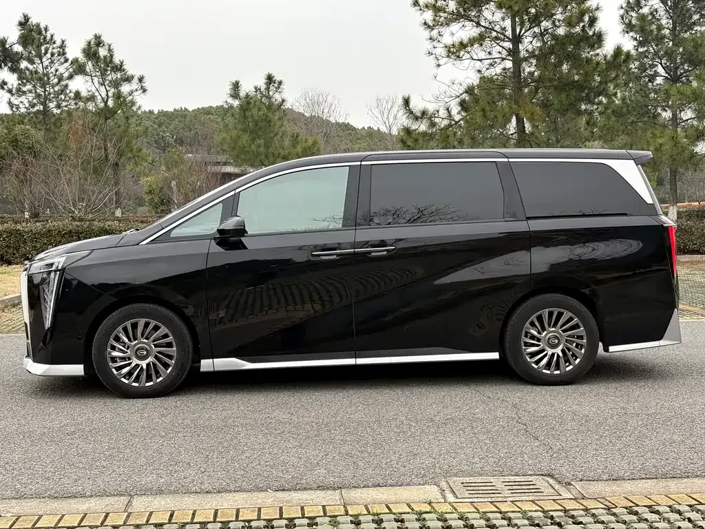 GAC Motor Trumpchi M8 2023 из CN, фото 6