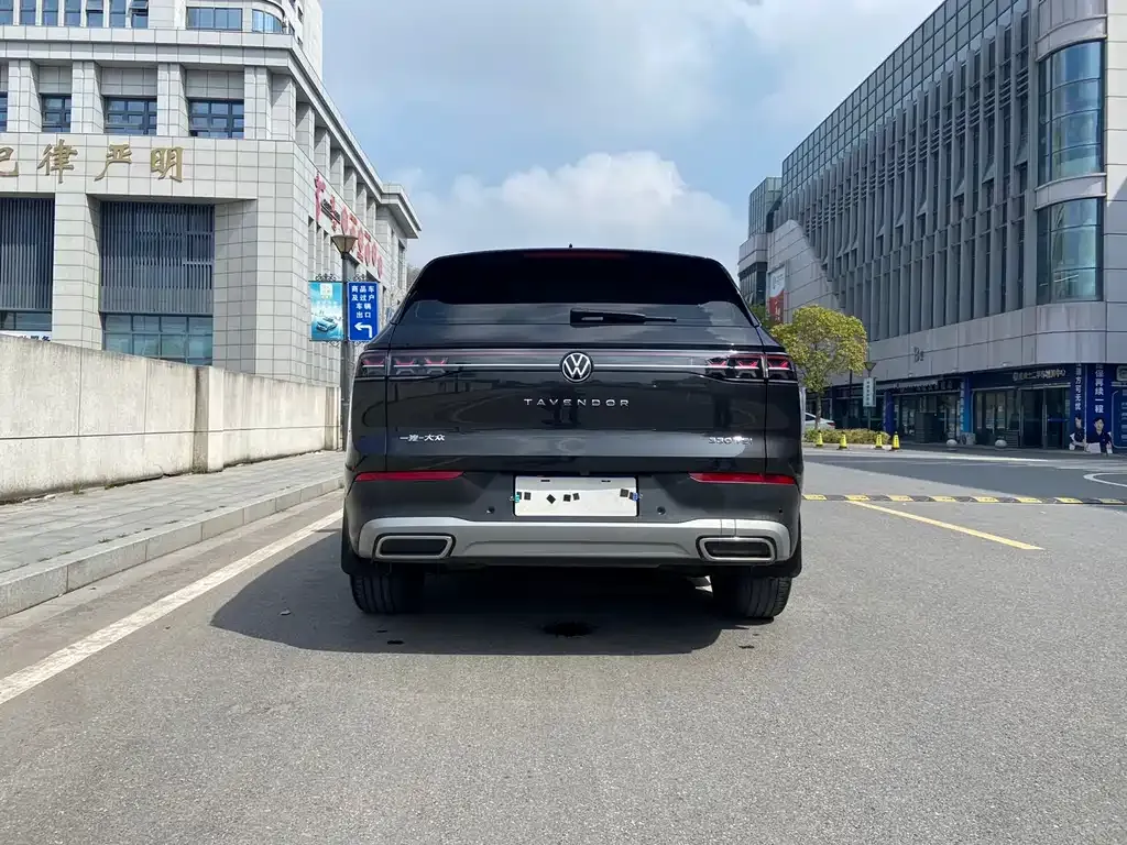 Volkswagen Tavendor 2023 из CN, фото 5