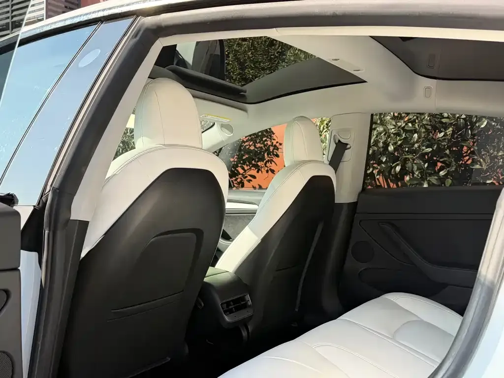 Tesla Model 3 2023 из CN, фото 3