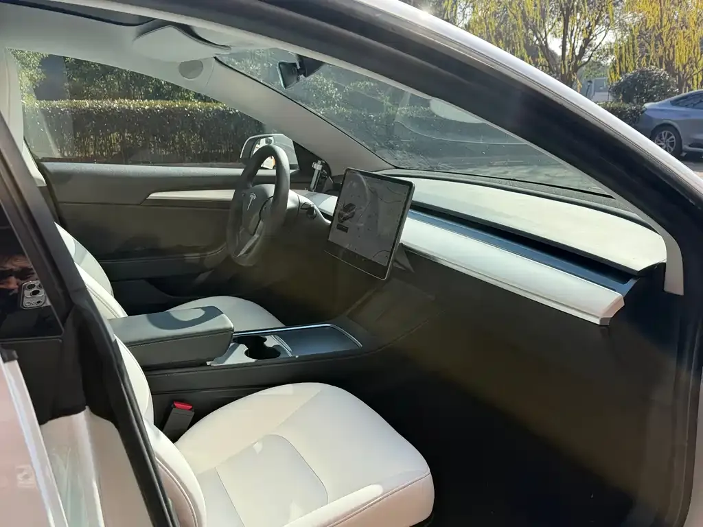 Tesla Model 3 2023 из CN, фото 9