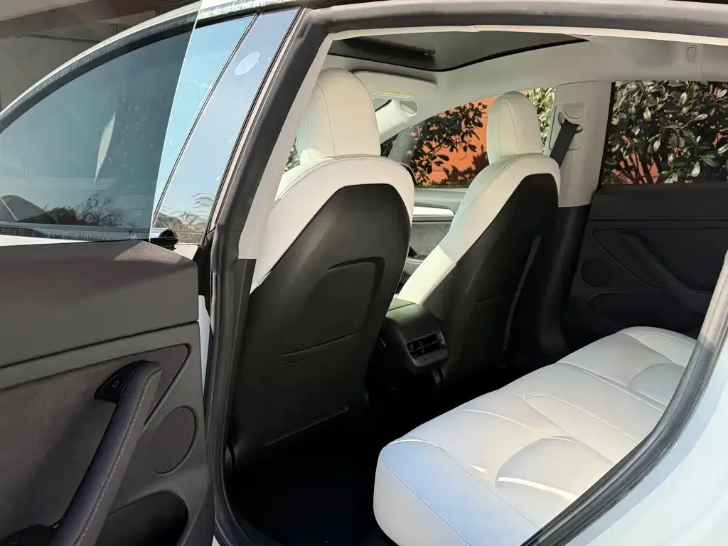 Tesla Model 3 2023 из CN, фото 7