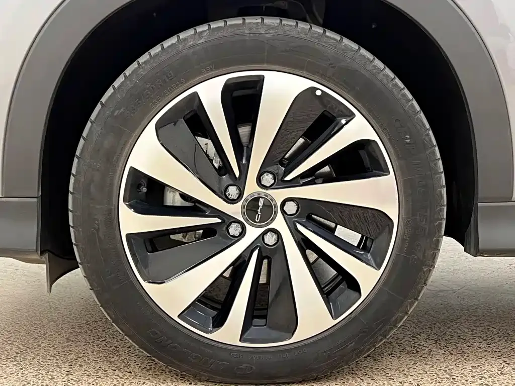 BYD PLUS New Energy — фото 9