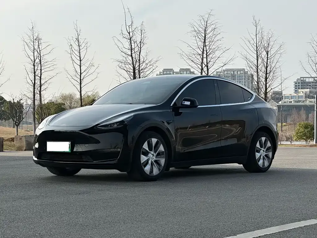 Tesla Model Y — фото 1