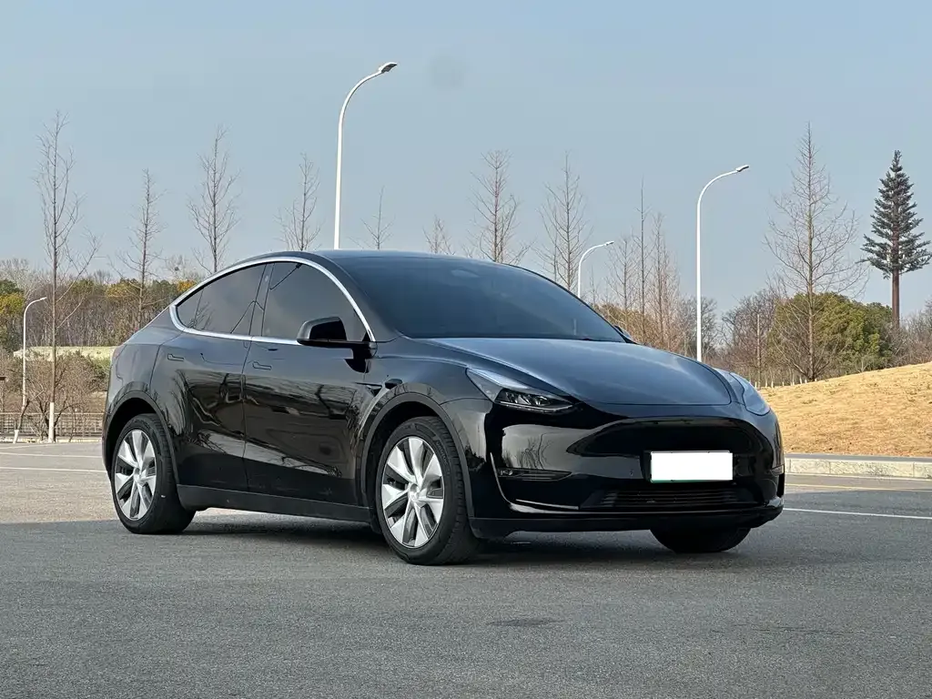 Tesla Model Y — фото 5