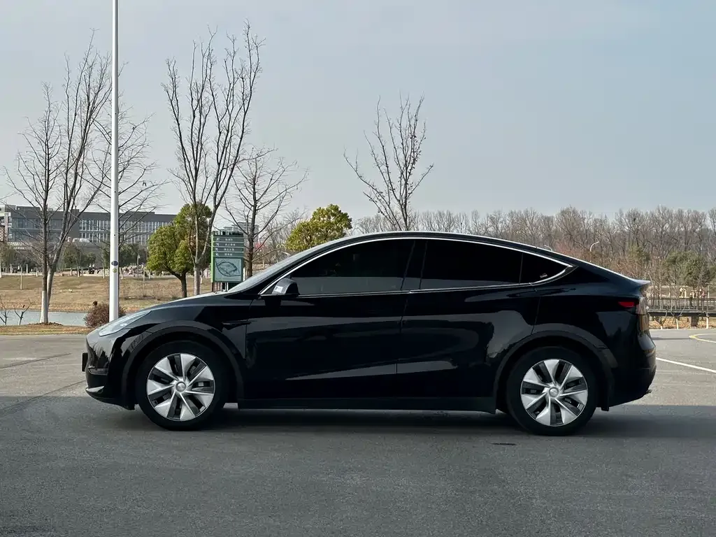 Tesla Model Y — фото 10