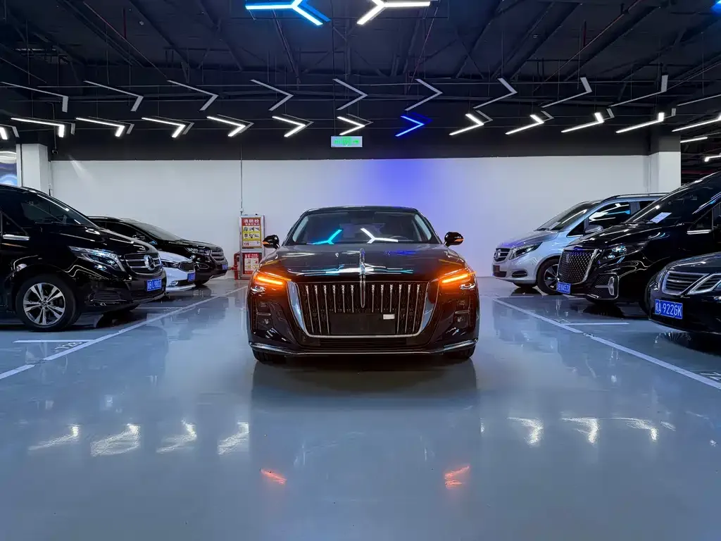 Hongqi H5 2025 из CN, фото 7