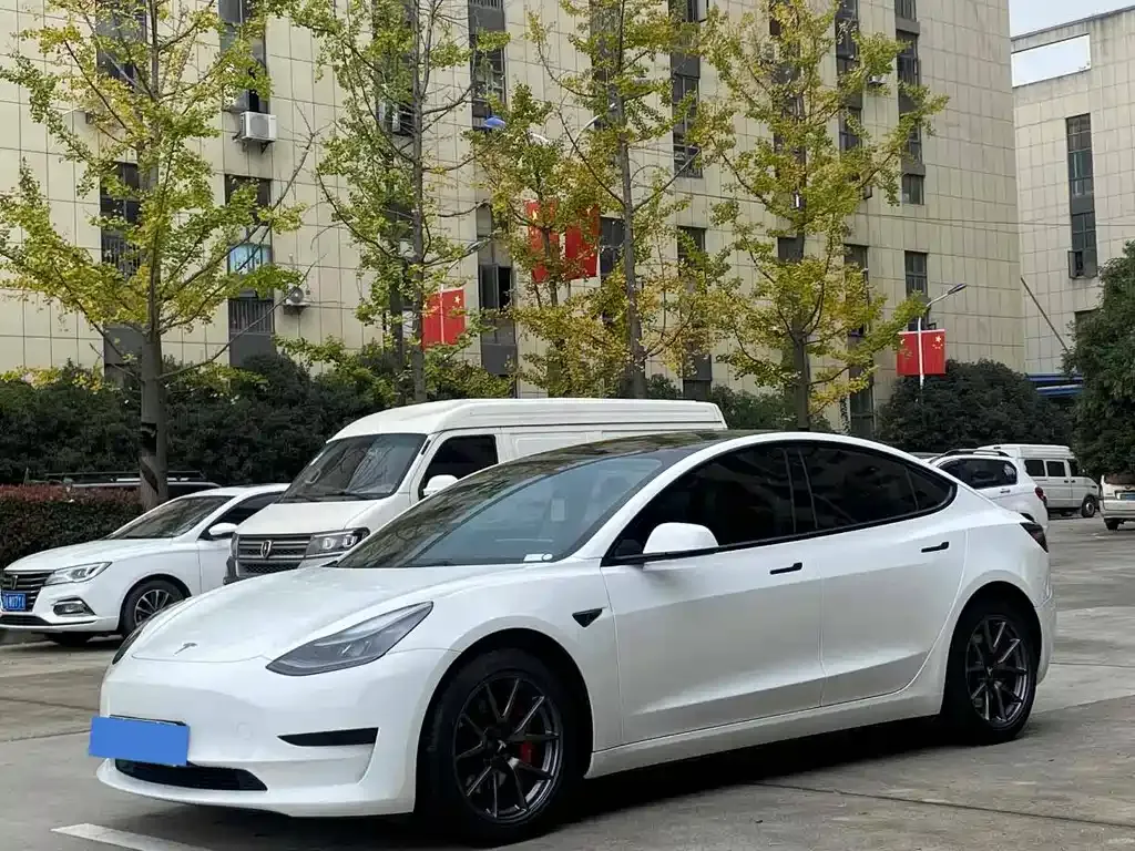 Tesla Model 3 2021 из CN, фото 1
