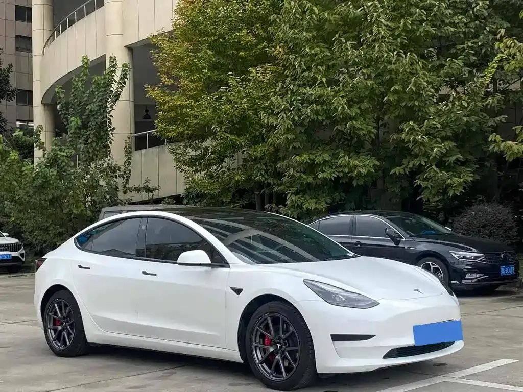 Tesla Model 3 2021 из CN, фото 3