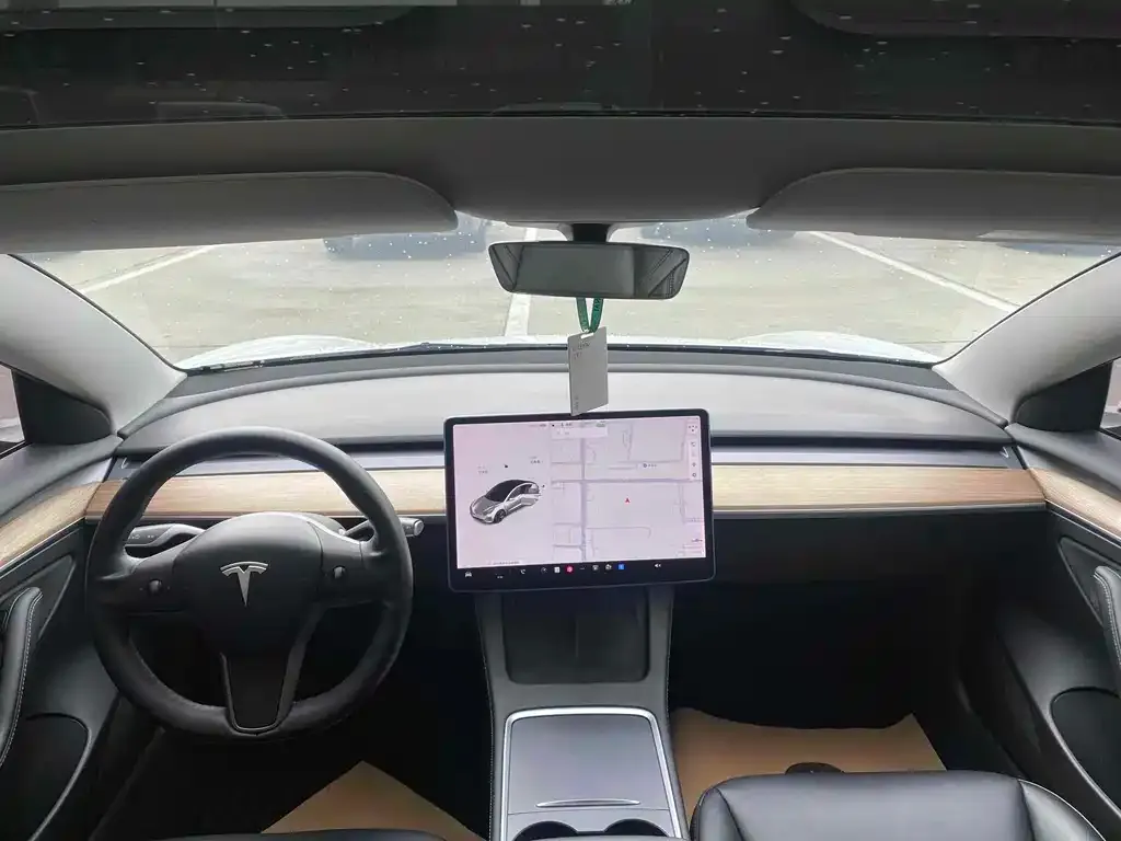 Tesla Model 3 2021 из CN, фото 2
