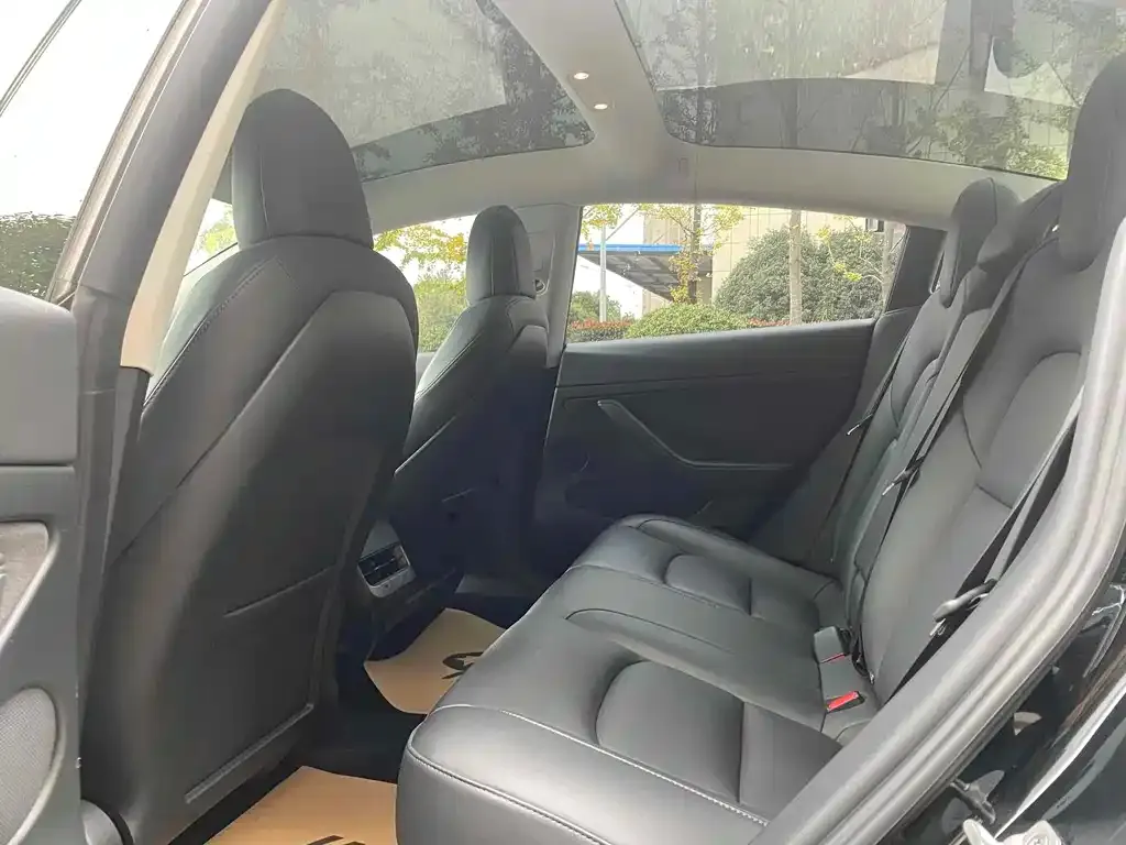 Tesla Model 3 2021 из CN, фото 7