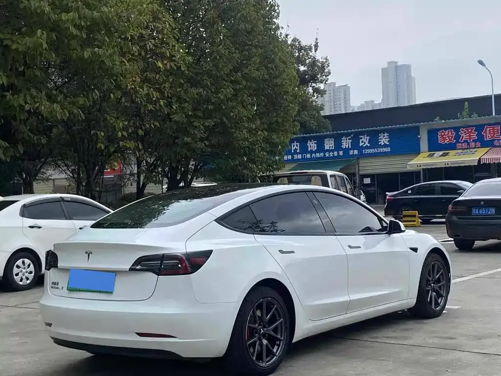 Tesla Model 3 2021 из CN, фото 4