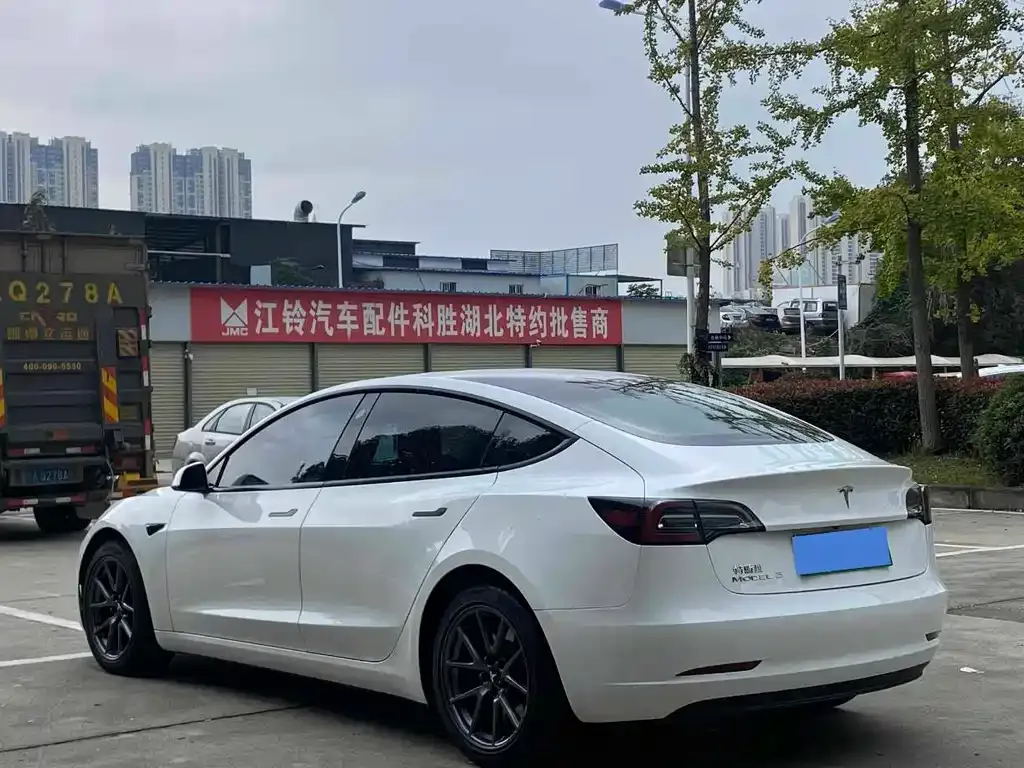 Tesla Model 3 2021 из CN, фото 5