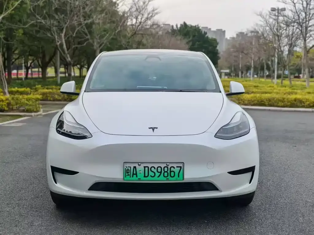 Tesla Model Y — фото 2