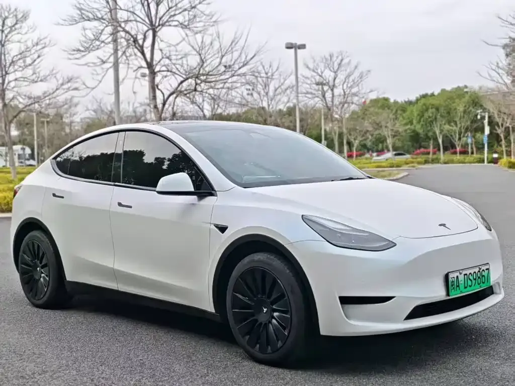 Tesla Model Y — фото 6