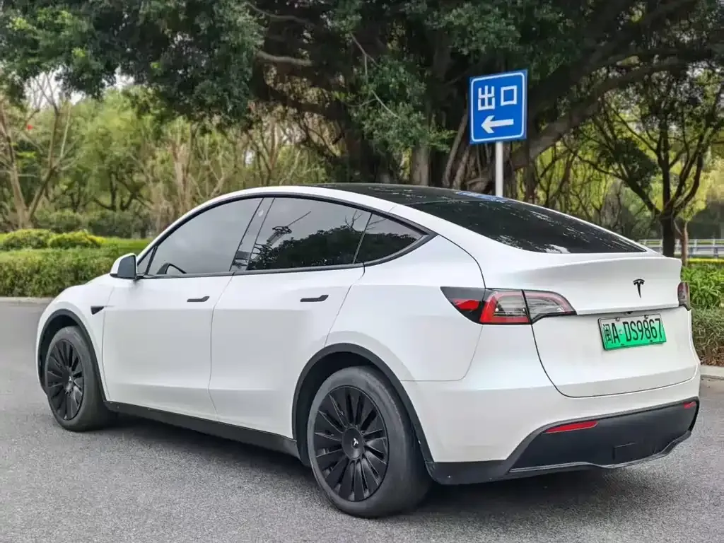 Tesla Model Y — фото 5