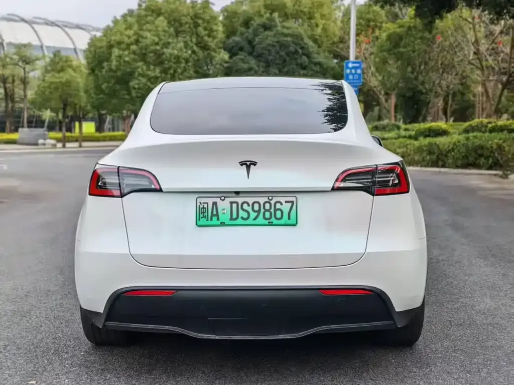Tesla Model Y — фото 8