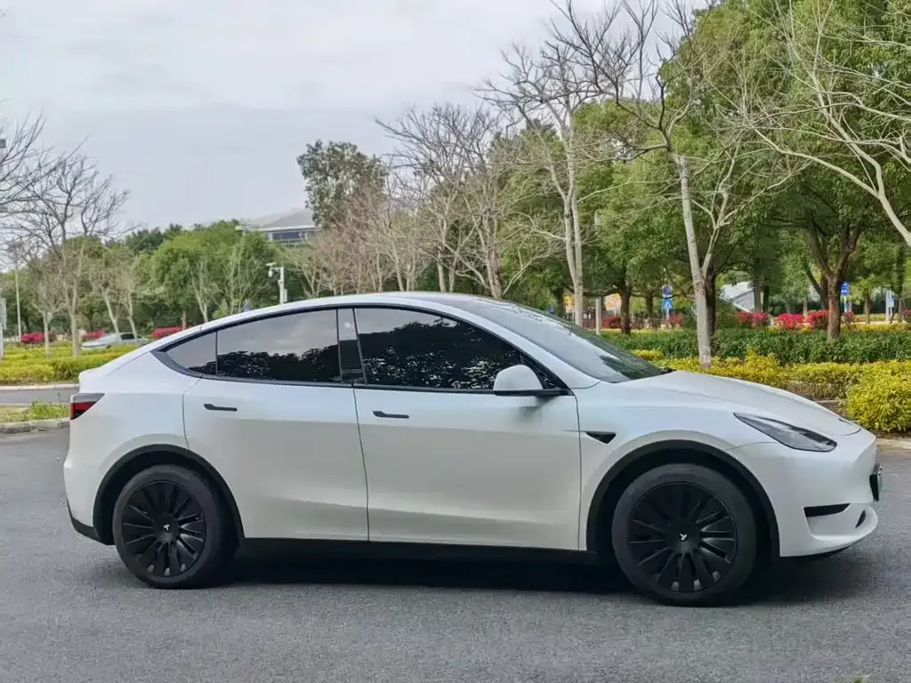 Tesla Model Y — фото 7