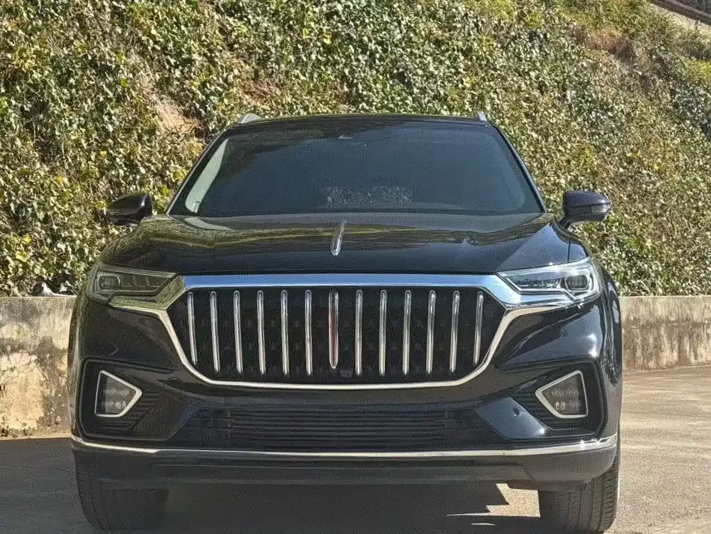 Hongqi HS5 2023 из CN, фото 9