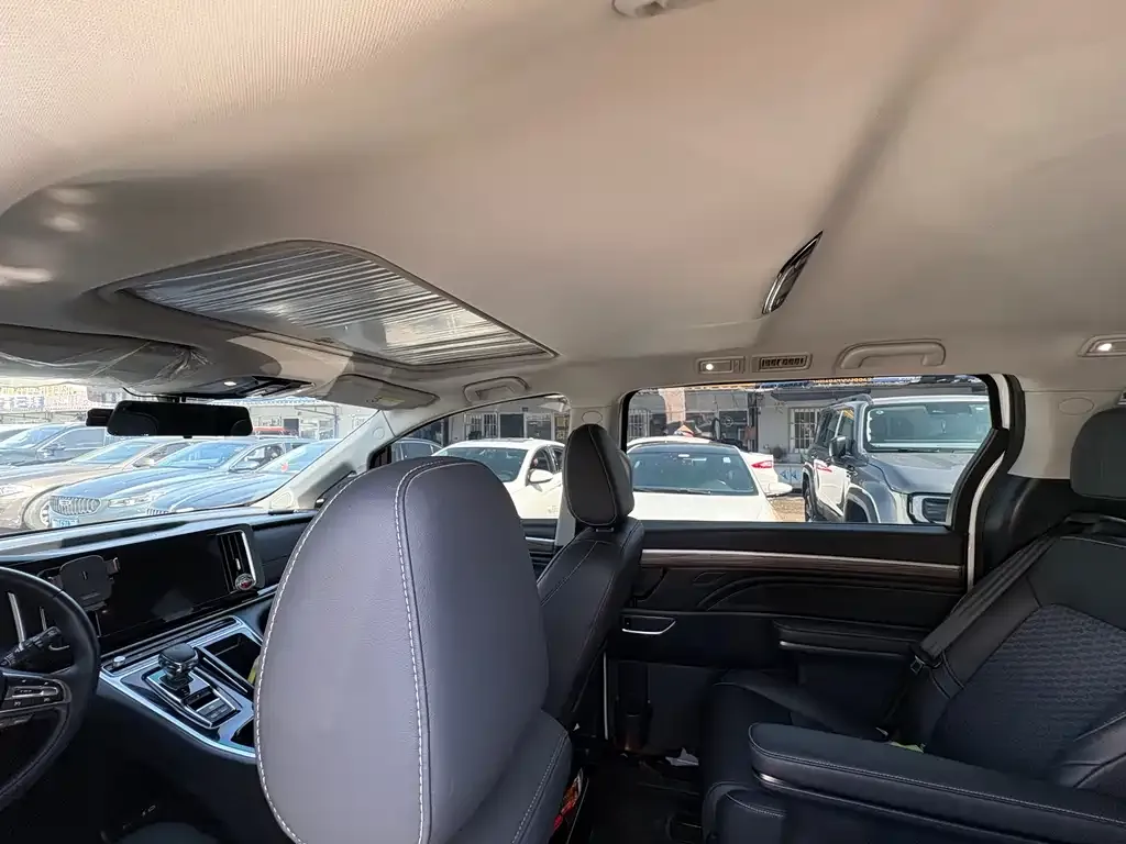 GAC Motor Trumpchi M8 2023 из CN, фото 9