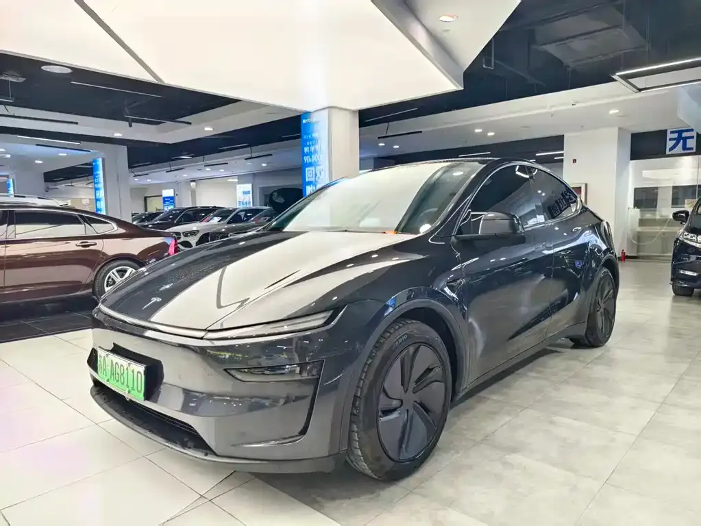 Tesla Model Y — фото 1