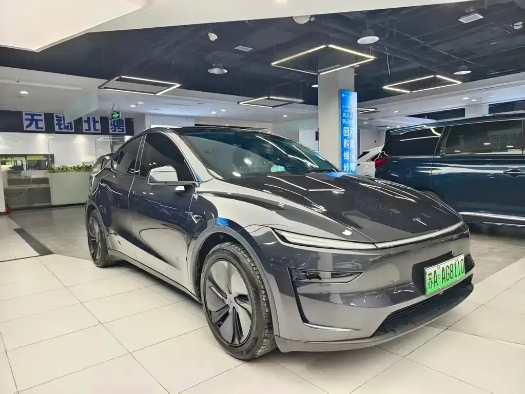 Tesla Model Y — фото 3