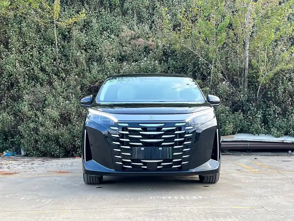 BYD Xia 2025 из CN, фото 6