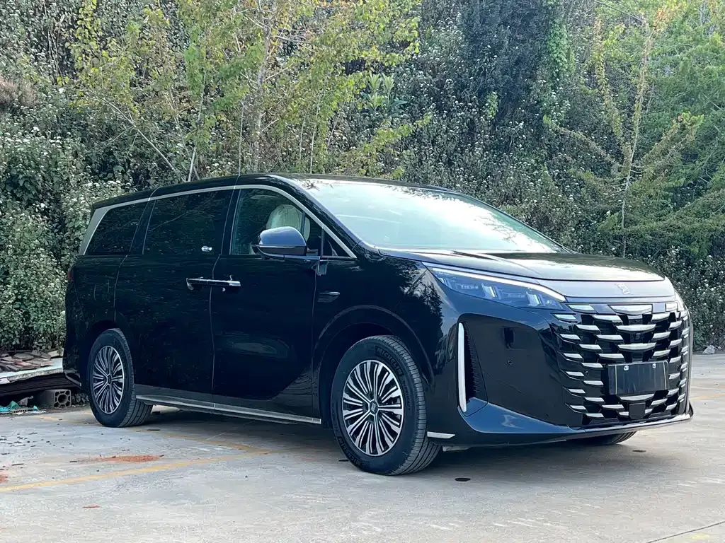 BYD Xia 2025 из CN, фото 10