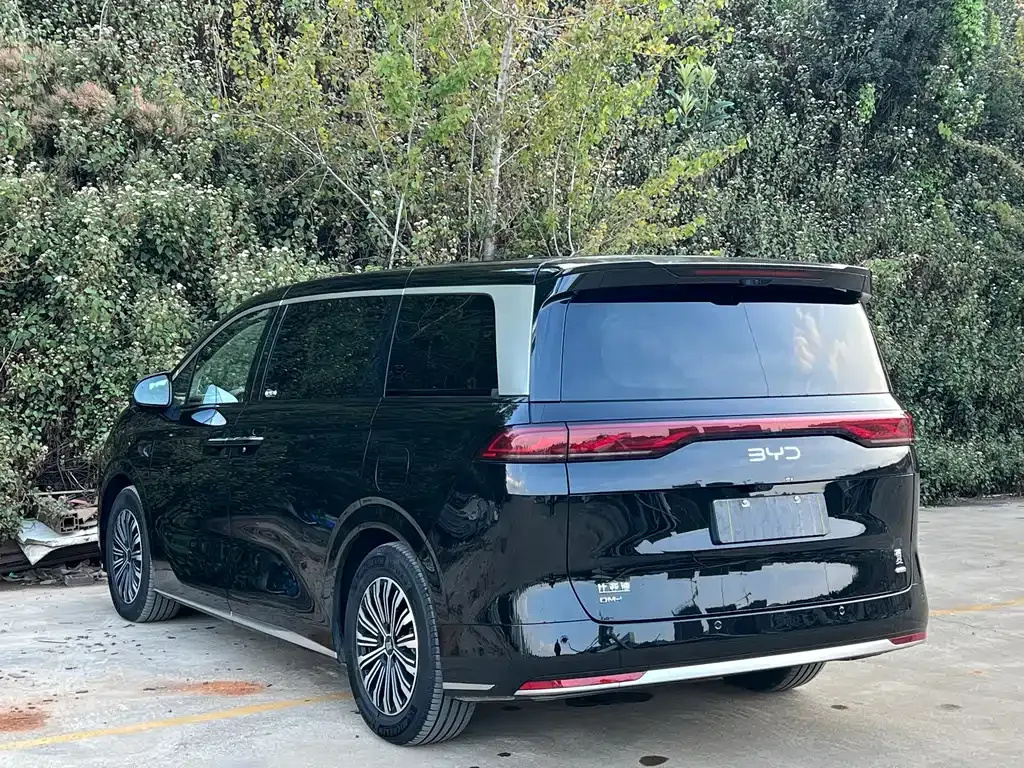 BYD Xia 2025 из CN, фото 9