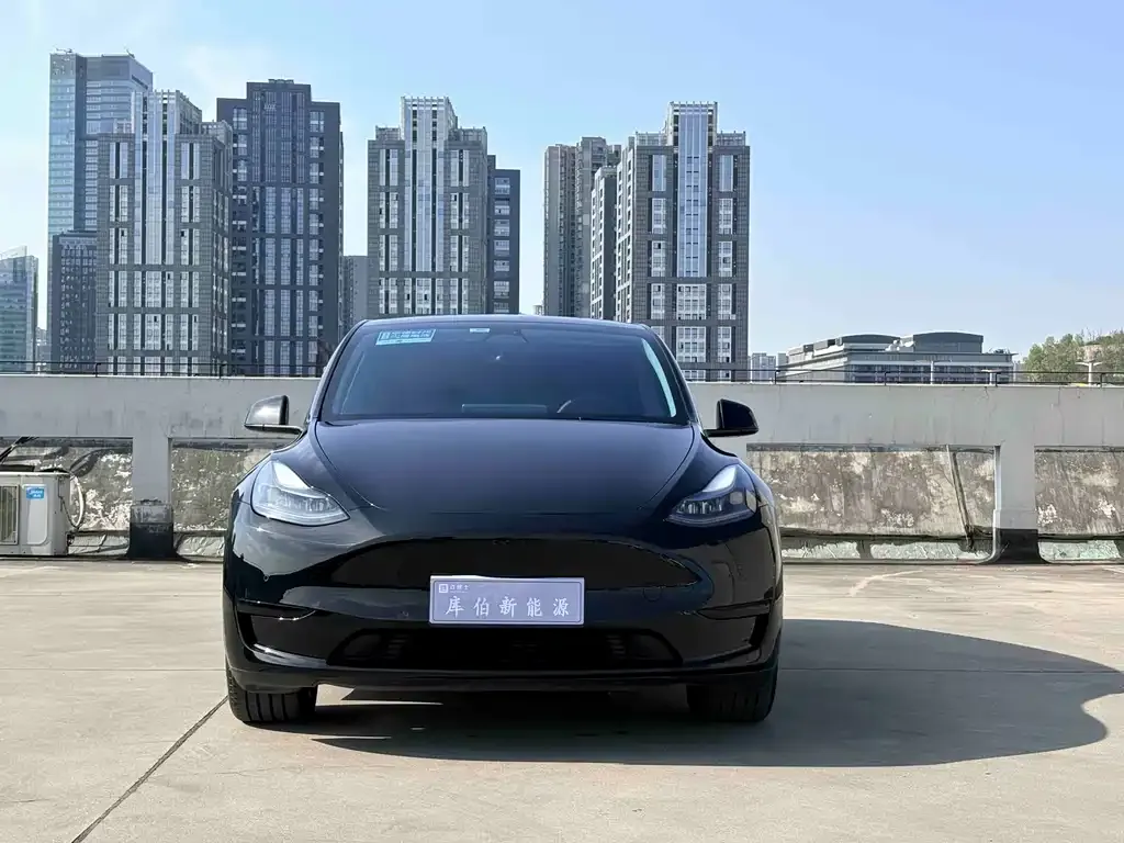 Tesla Model Y — фото 5