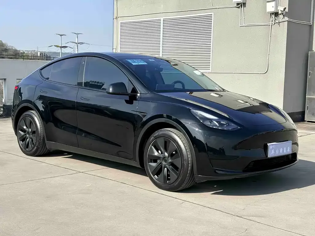 Tesla Model Y — фото 3