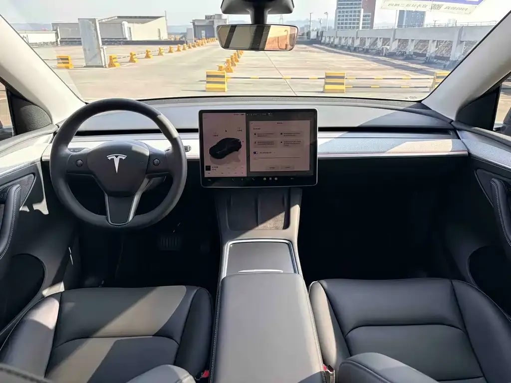 Tesla Model Y — фото 10
