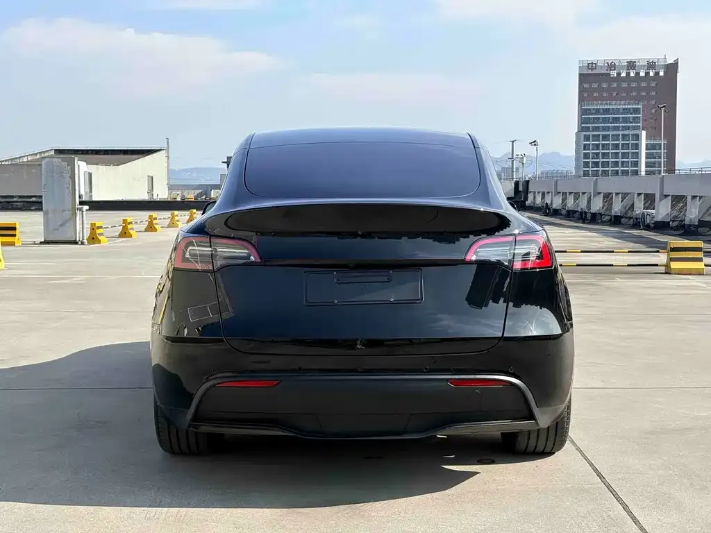 Tesla Model Y — фото 8