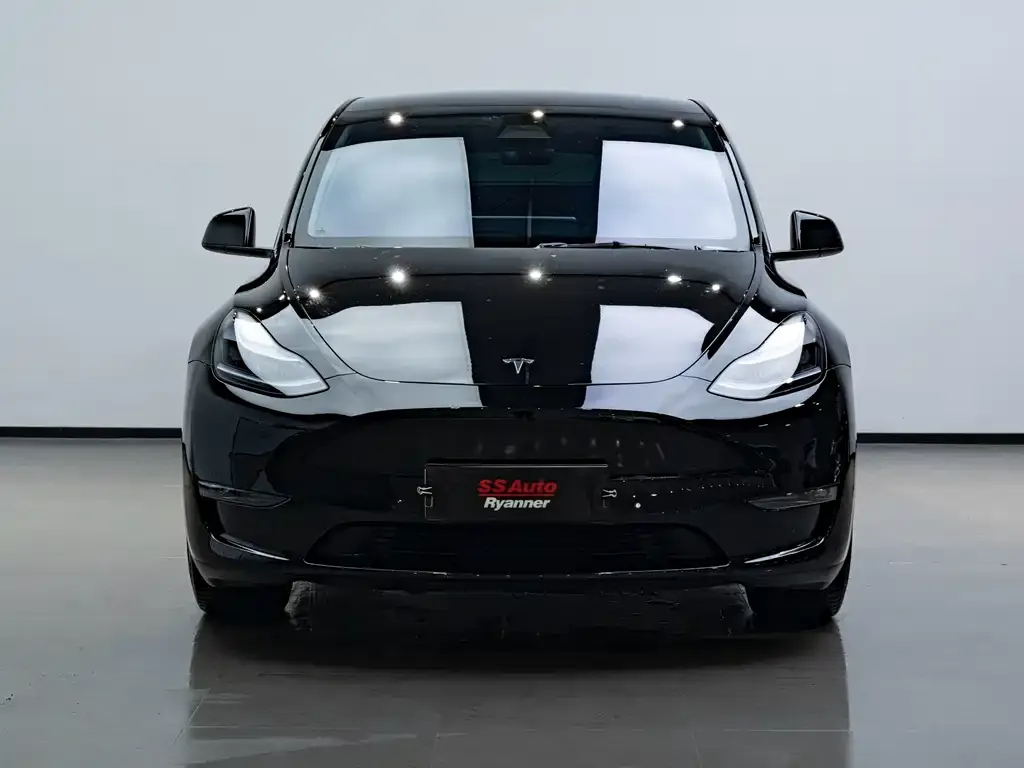 Tesla Model Y 2022 из CN, фото 2