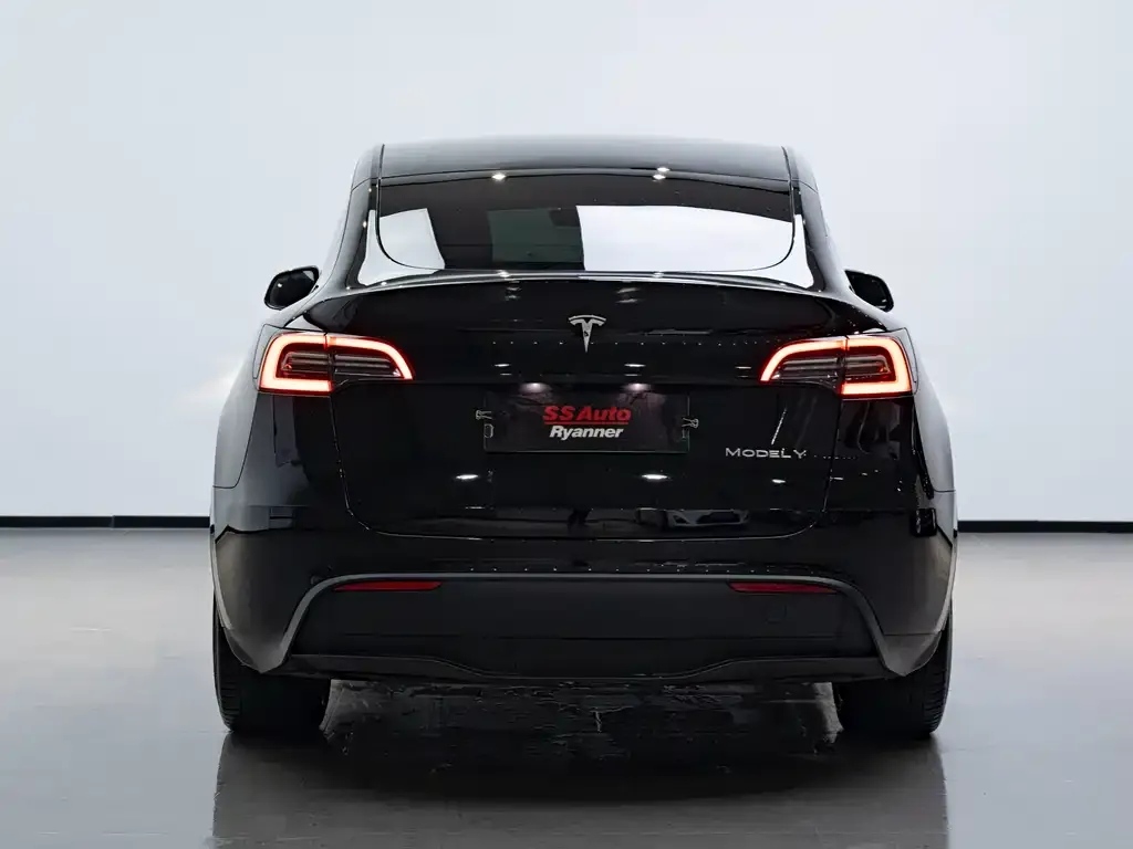 Tesla Model Y 2022 из CN, фото 4
