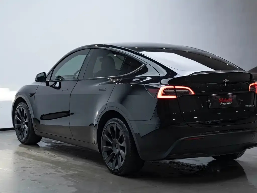 Tesla Model Y 2022 из CN, фото 9