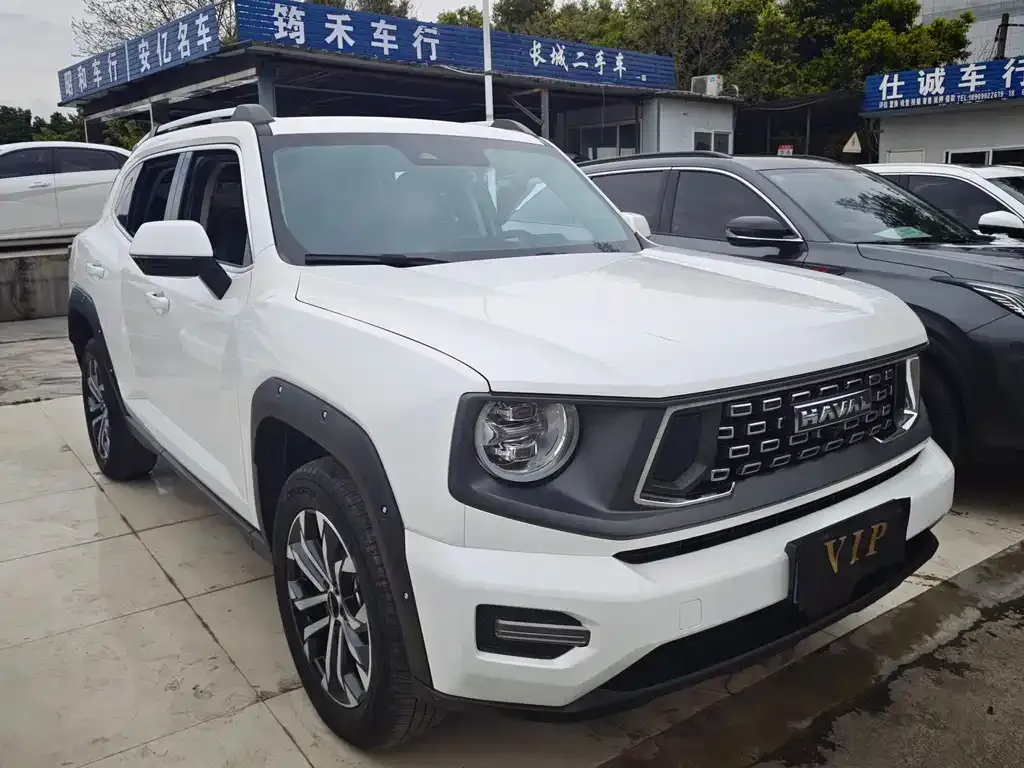 Haval H7 (Big Dog Plus) — фото 8