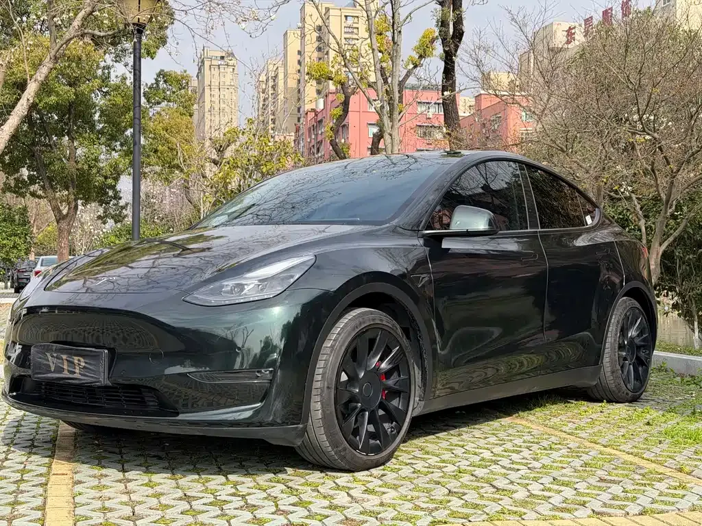 Tesla Model Y 2021 из CN, фото 1