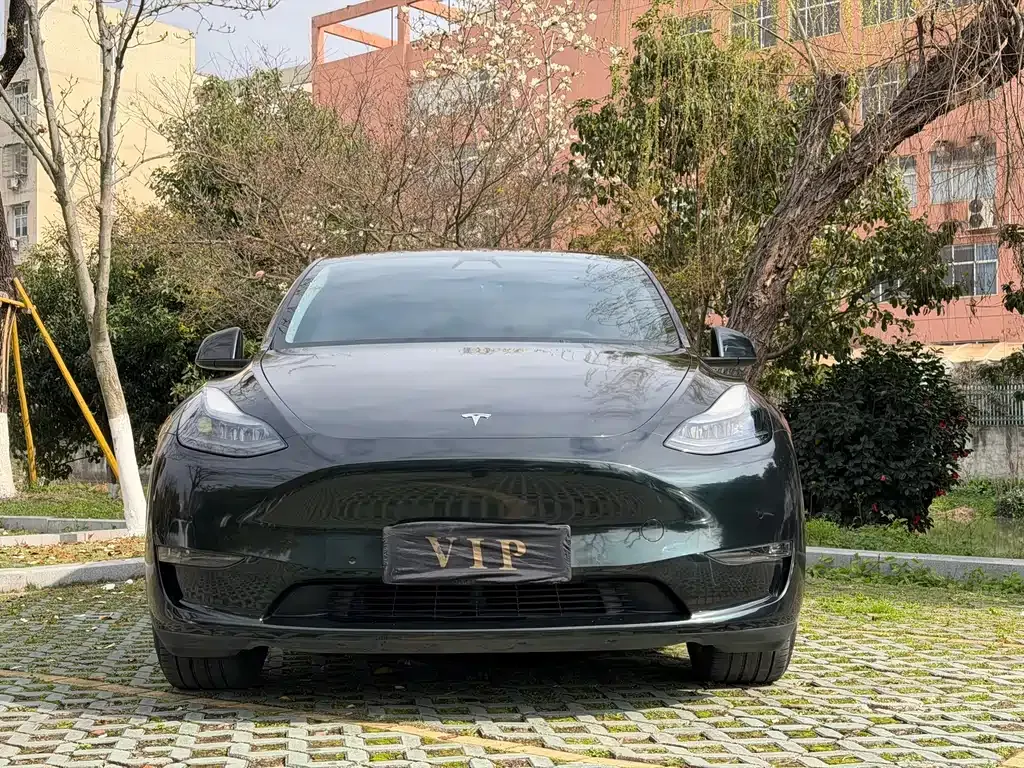 Tesla Model Y 2021 из CN, фото 7