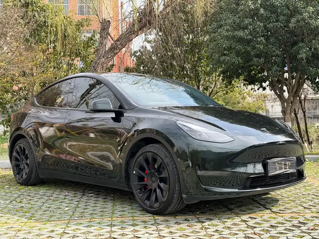 Tesla Model Y 2021 из CN, фото 9
