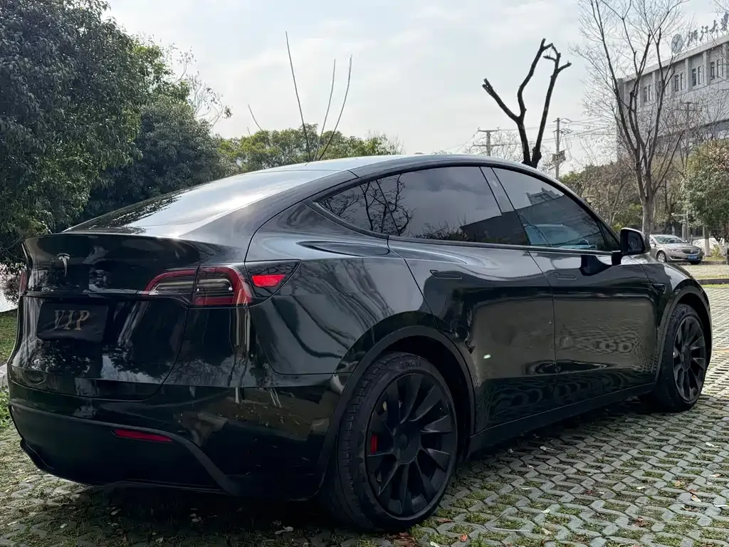 Tesla Model Y 2021 из CN, фото 3
